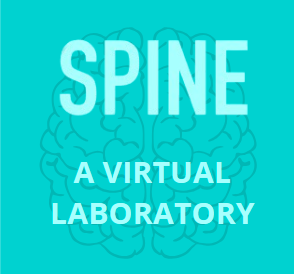 SPINE